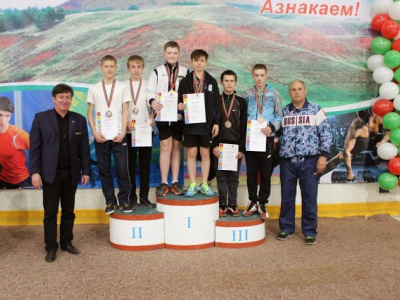 Кубок главы Азнакаевского муниципального района по бадм...
