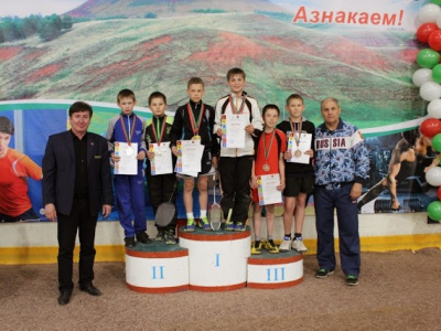 Кубок главы Азнакаевского муниципального района по бадм...